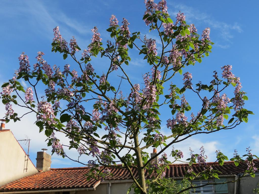 L'Aubinoise Bed and Breakfast Saint-Aubin-la-Plaine Εξωτερικό φωτογραφία